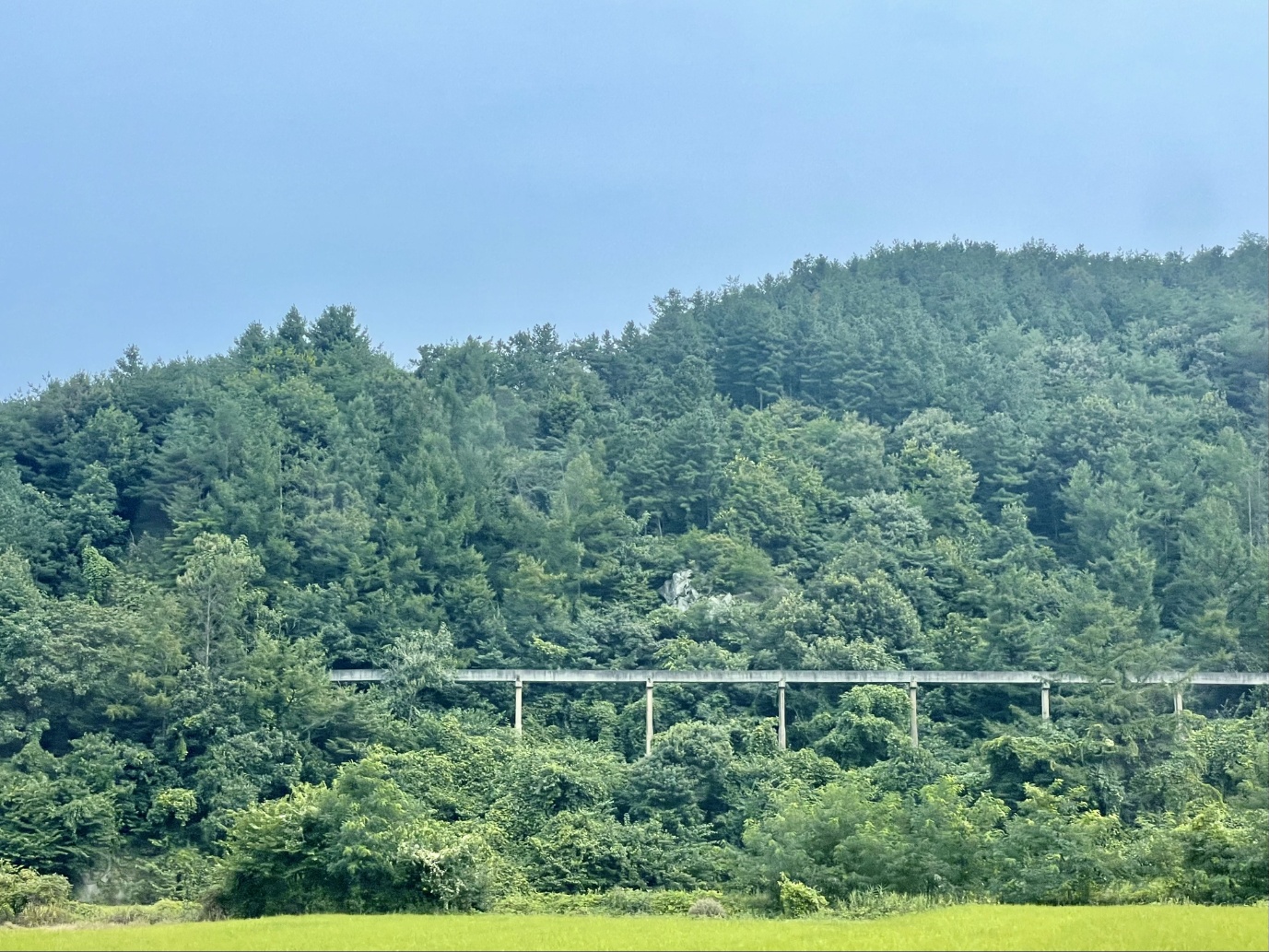 KakaoTalk_20230918_172527320_10